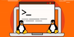 Programcılar İçin En İyi Linux Dağıtımları Programcılar İçin En İyi Linux Dağıtımları