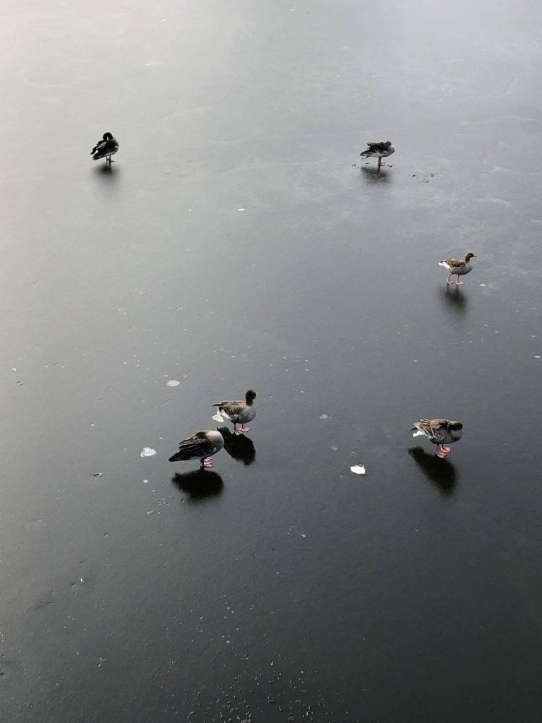 Img 5516 1 768x1024 1