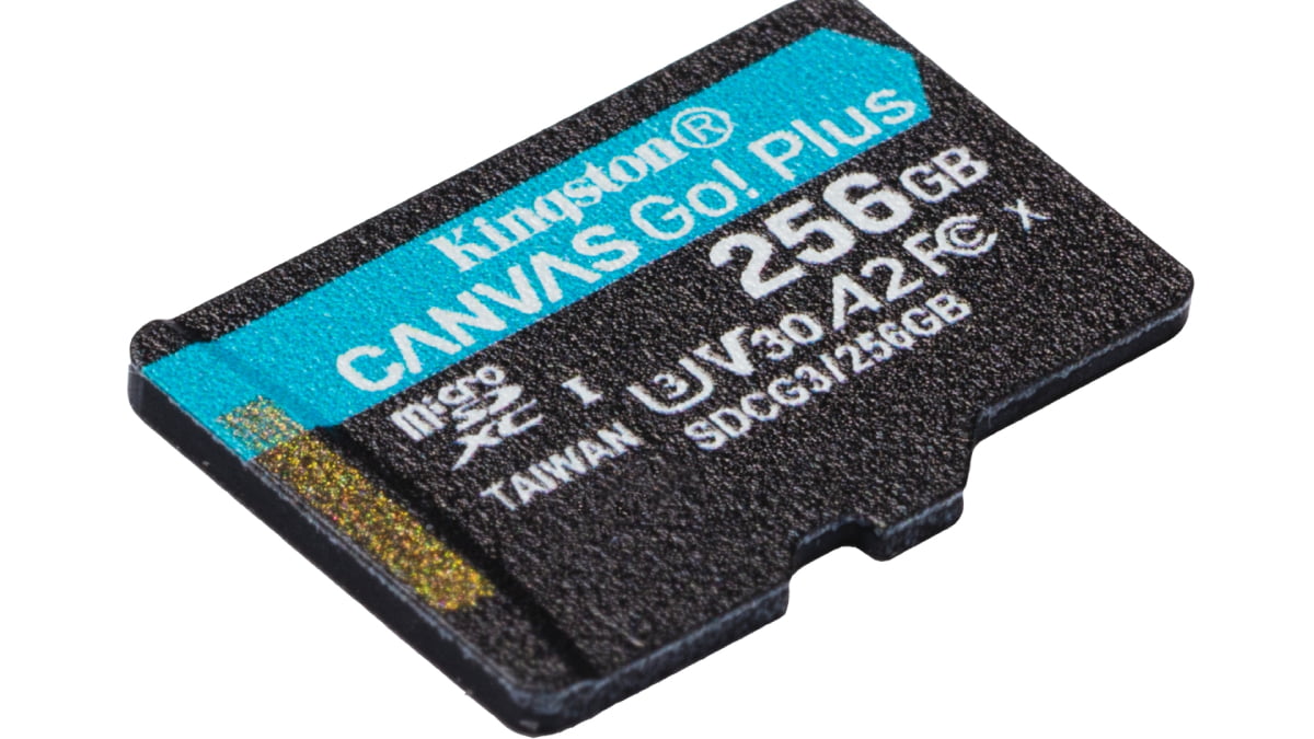 Kingston Canvas Go Plus