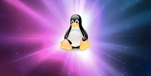 Linux Nedir? Linux Ne İşe Yarar? Linux Nedir? Linux Ne İşe Yarar?