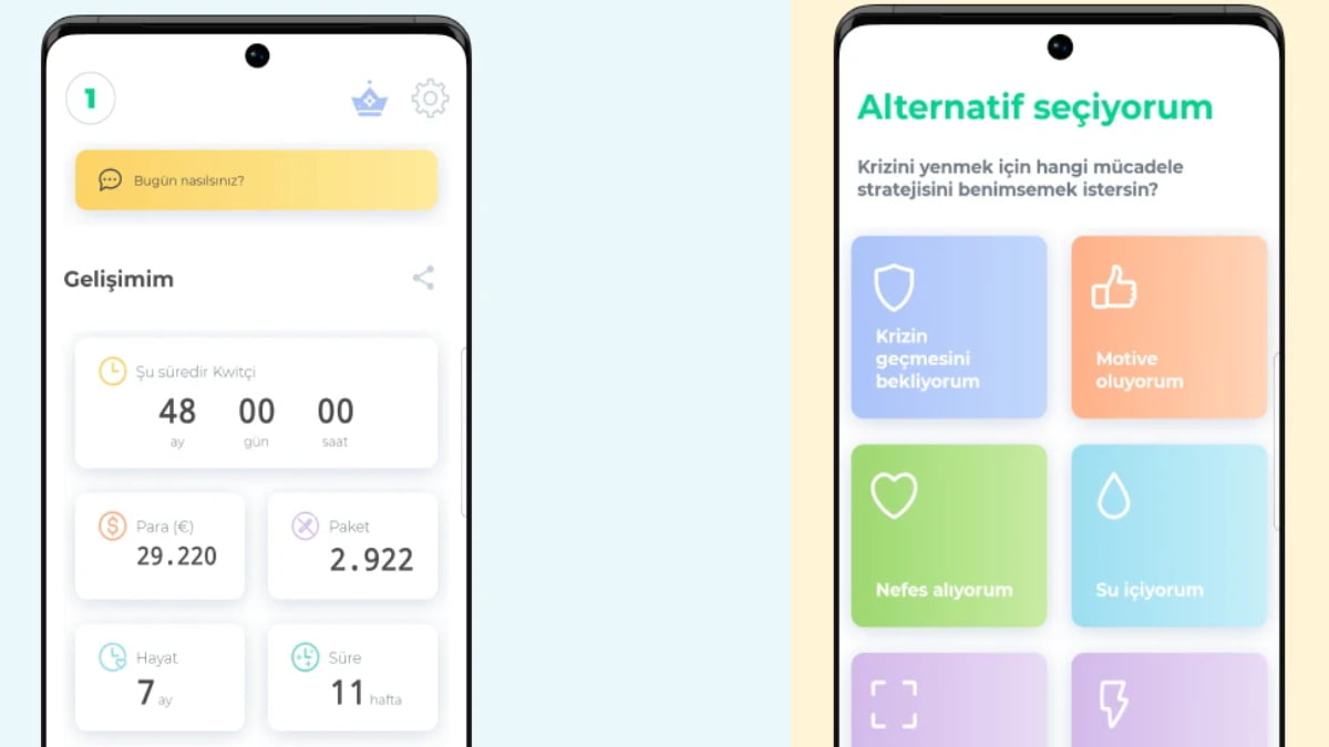 Sigara Birakma Uygulamasi Onerisi