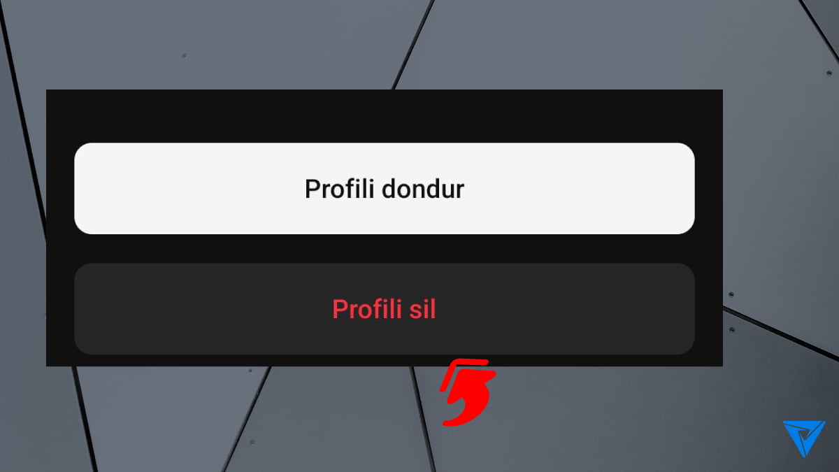 Threads Profil Silme Adim 3