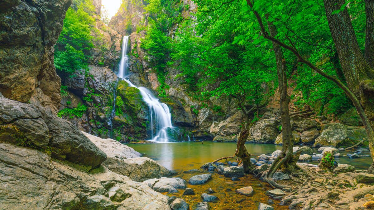 3d64480287fb29c73810ba5e40c6ae39 1200