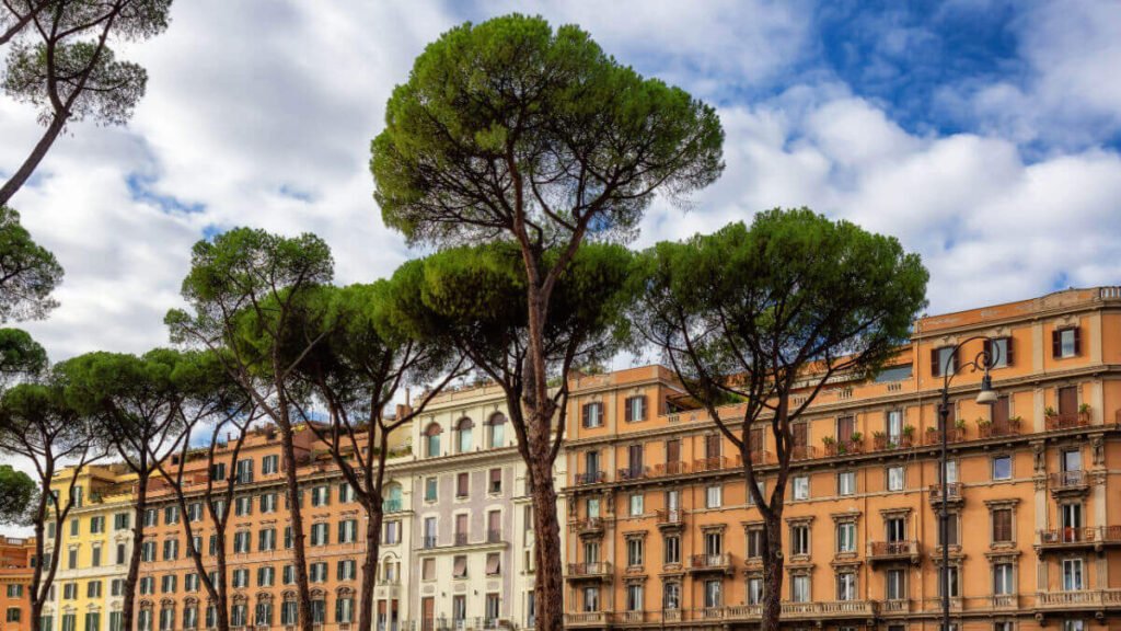 971c98d197ae1b2ae88d3e8dcfdc2a2c 1200 1024x576