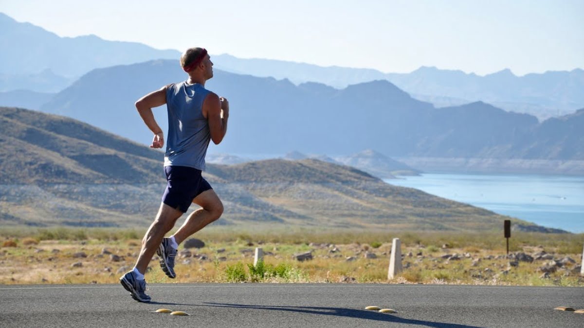 adim-sayma-programlari Adim Sayma Programlari