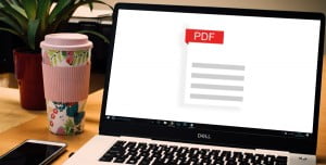 Adobe Reader Nedir, Nasıl Kullanılır? Adobe Reader Nedir, Nasıl Kullanılır?