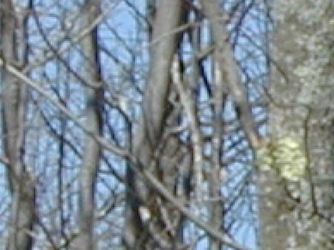 Android Telefonunuzla Daha Iyi Fotograflar Cekmek Icin Yapmaniz Gerekenler 2