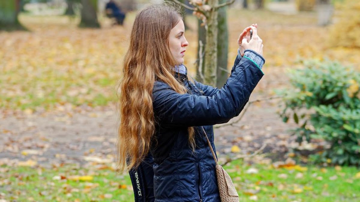 Bitkileri Tanimlayan Hizmetler