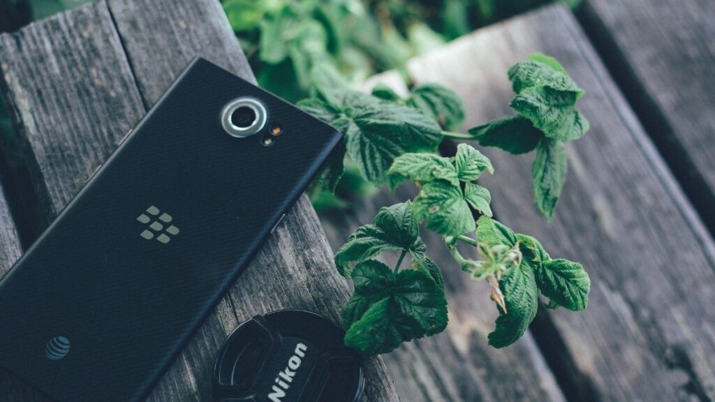 Blackberry Neden Batti 1024x576