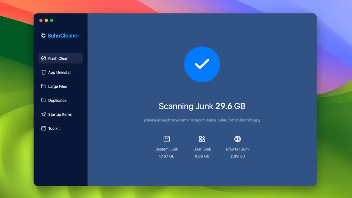 Buhocleaner Disk Analizi