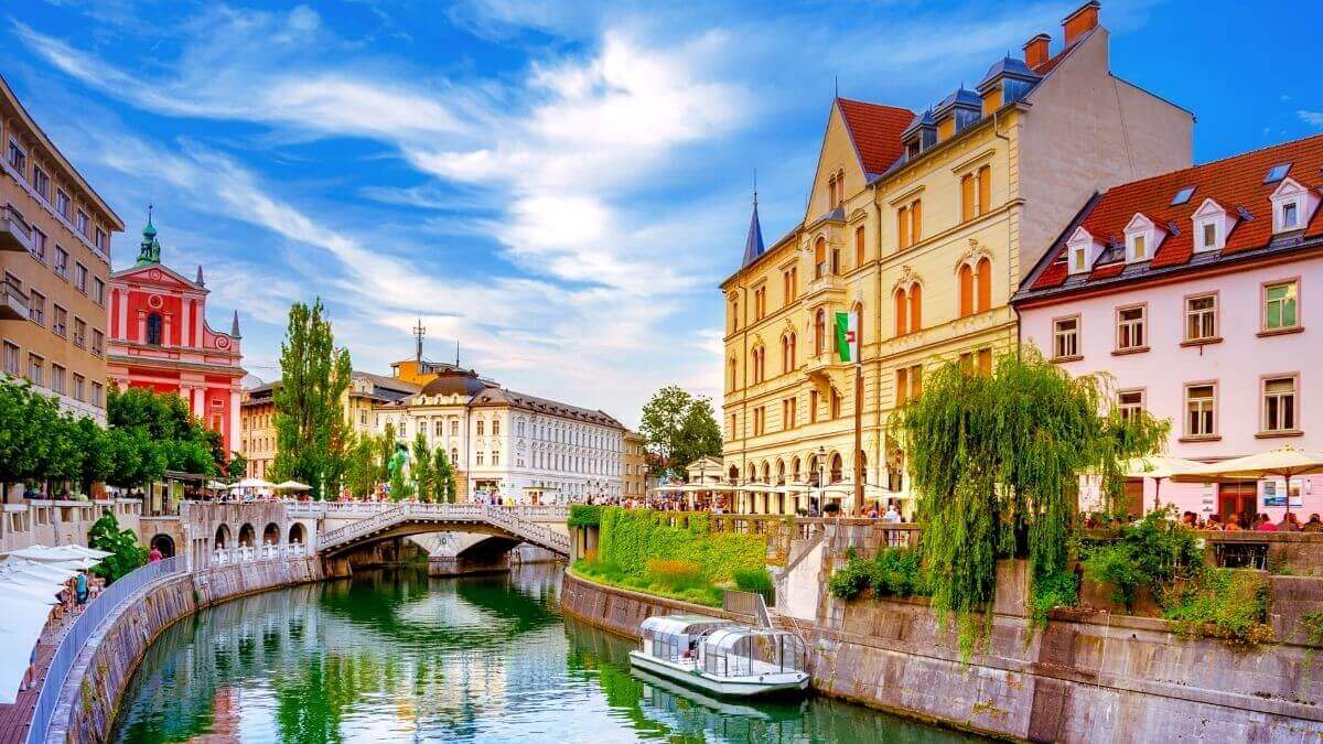 c54e5df9030767a9d5cae12da4f400a1-1200 C54e5df9030767a9d5cae12da4f400a1 1200