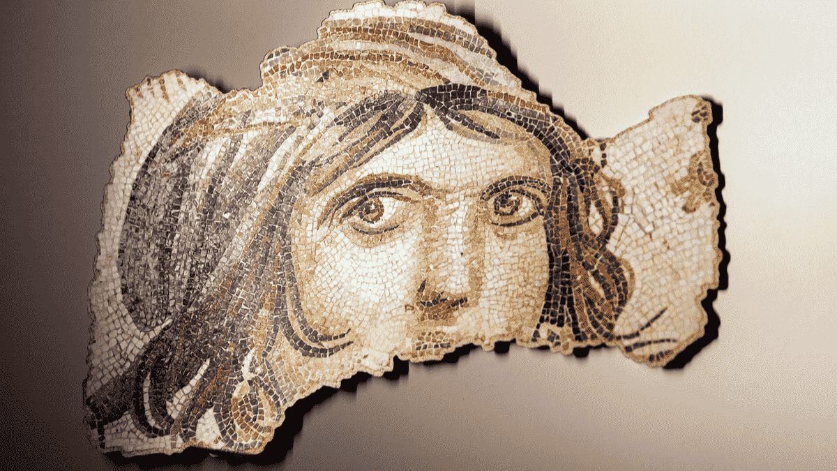 Cf0966dda1fe6732cffb6bd15504804d 1200