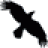 data-crow_48x48 Data Crow