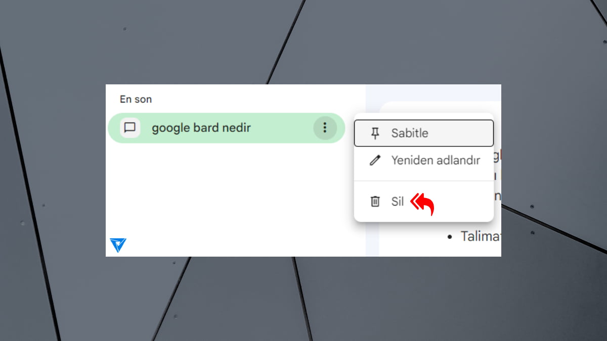 google-bard-gecmisi-silme-adim-2