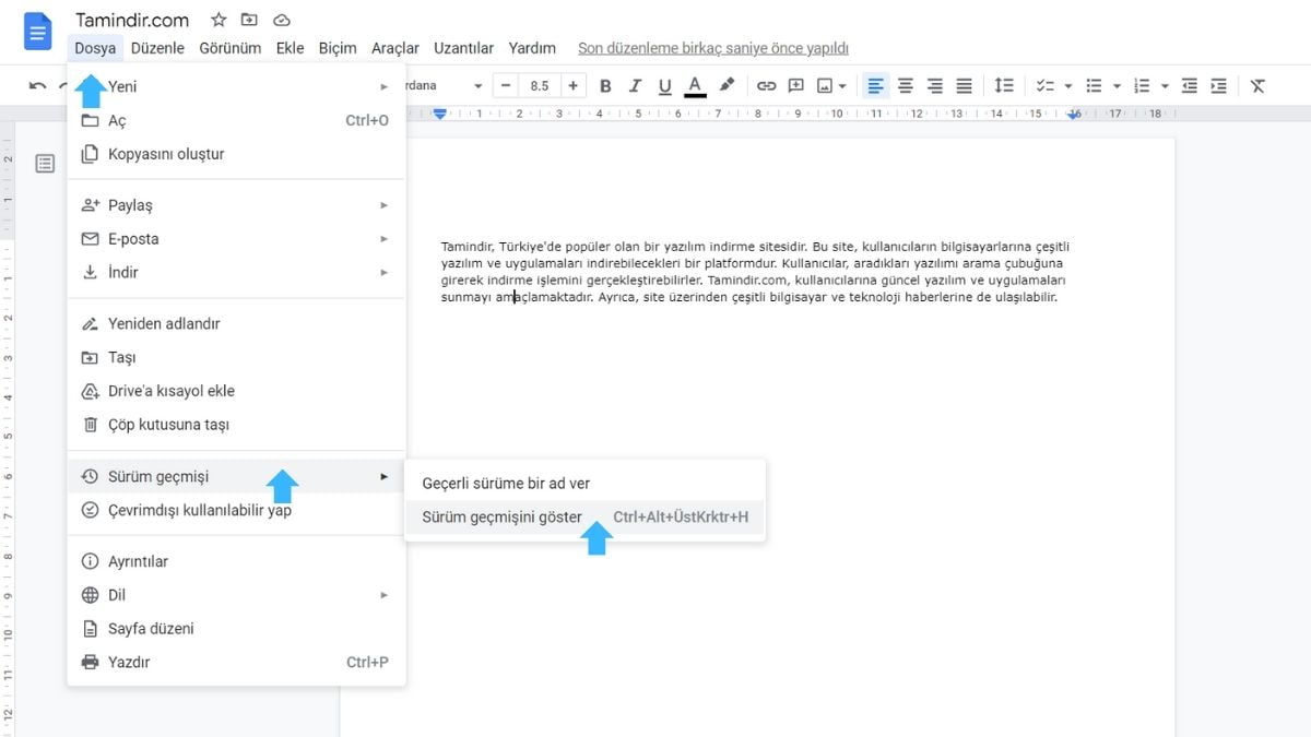 Google Dokumanlarda Duzeltme Gecmisini Goruntuleme 25