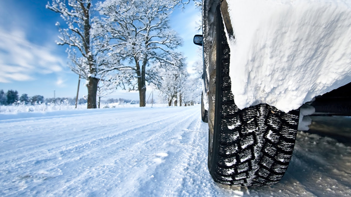 kis-lastigi Kis Lastigi