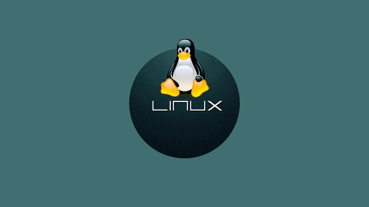 programcilar-icin-linux-dagitim-hizmetleri Programcilar Icin Linux Dagitim Hizmetleri