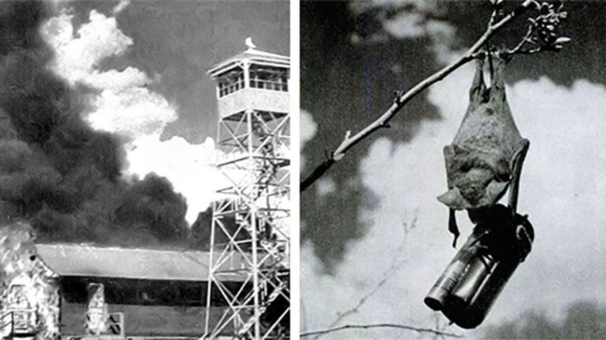 savaslarda-kullanilan-ilginc-silahlar-3 Savaslarda Kullanilan Ilginc Silahlar 3