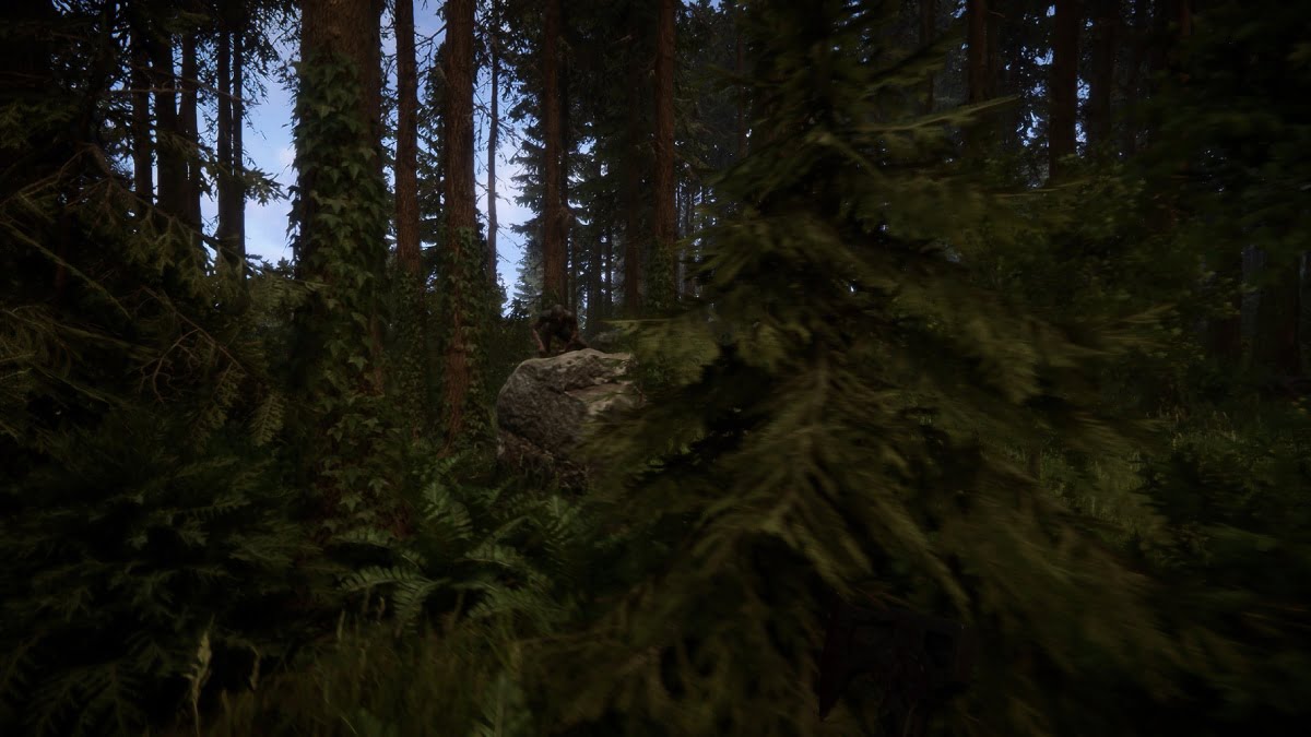 sons-of-the-forest-kac-gb Sons Of The Forest Kac Gb