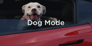 Tesla Köpek Modu (Dog Mode) Nedir? Ne İşe Yarar? Tesla Köpek Modu (Dog Mode) Nedir? Ne İşe Yarar?