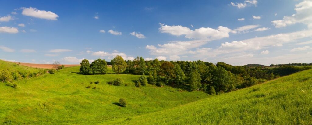 Turingiya Tatil Gunleri 1 1024x410