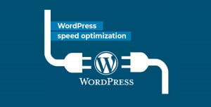 WordPress Site Hızlandırma (Site Hızı Artırma) Yöntemleri WordPress Site Hızlandırma (Site Hızı Artırma) Yöntemleri